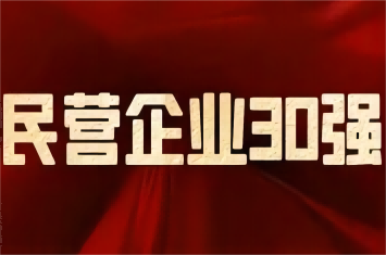 南阳民营企业及制造业30强榜单发布，杏彩体育·(中国)官方网站集团荣登前三